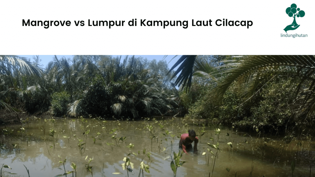 Mampir Rawa: Santapan Harian yang Menghargai Laut Cilacap