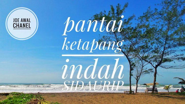 Mampir Rawa: Santapan Harian di Tepi Pantai Cilacap